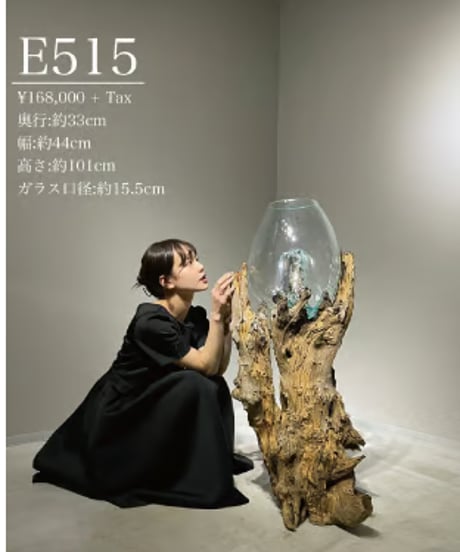 SPECIAL PRODUCT スペシャルプロダクト / E［No.E515］