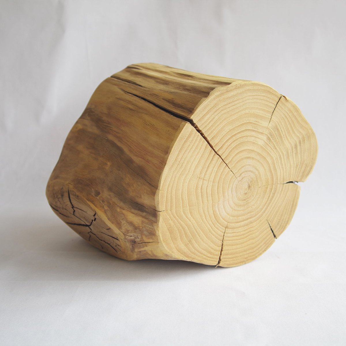 栗の切り株 特大 | 無垢Story