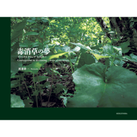岡上淑子全作品 特装版 | The Third Gallery Aya