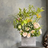 レッスン｜Bloom ブルームコース    6月