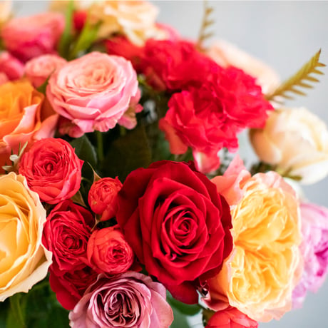 ダズンローズ 12本のバラの花束