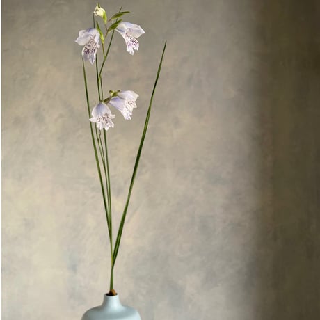KLATT OBJECTS｜Flower Vase フラワーベース