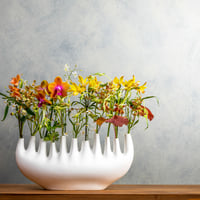 KLATT OBJECTS｜VASE RHIZOM