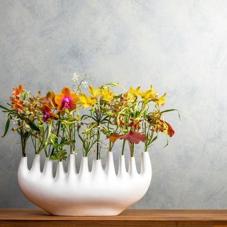 KLATT OBJECTS｜VASE RHIZOM