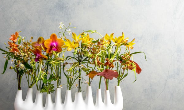 花福 オンラインショップ