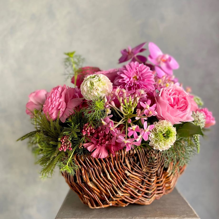 6408b474a629c46f94c9ac1d