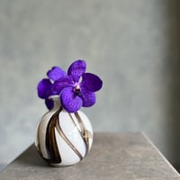 FIDRIO｜BRUNO Bolvase フラワーべース