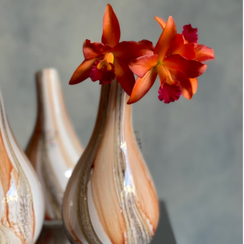 FIDRIO | BEACH Pisa フラワーベース | 花福 オンラインショップ