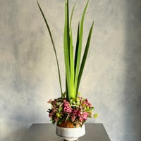 レッスン｜Seasonal シーズナルコース 　5月　" 季節の色 "