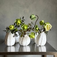 KLATT OBJECTS | PAPAVER vase  ポピー
