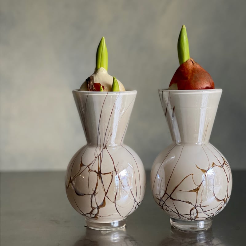 FIDRIO | Lightning Bolvase conical neck フラワーベース