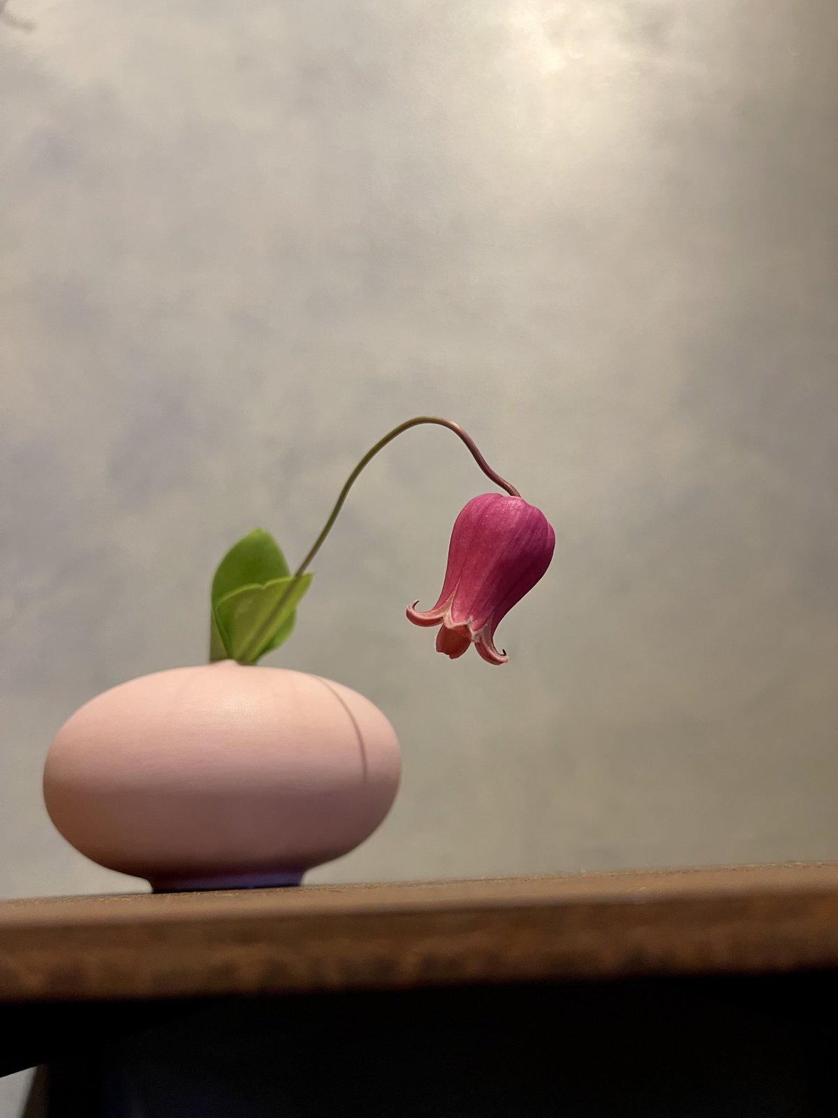 KLATT OBJECTS｜CHISANA vases Edition | 花福 オンラインショップ