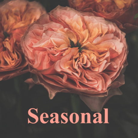 レッスン｜Seasonal シーズナルコース  季節の花