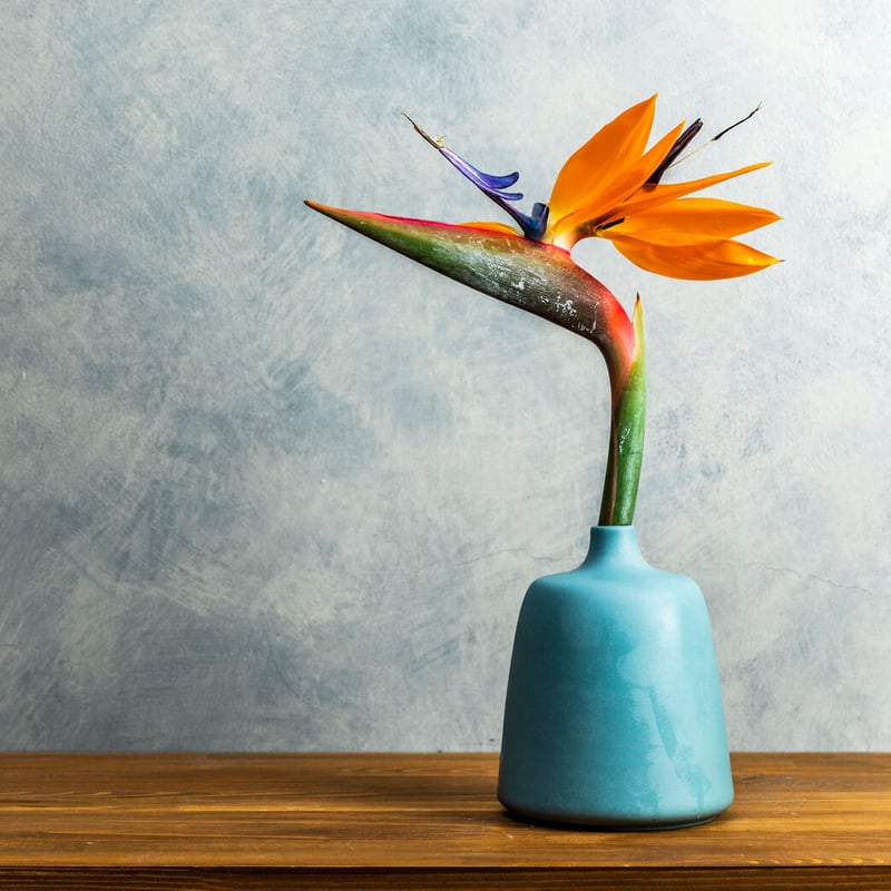 KLATT OBJECTS｜Flower Vase フラワーベース | 花福 オンラインショップ