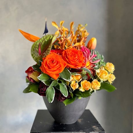 御祝花・楽屋花アレンジメントＬ