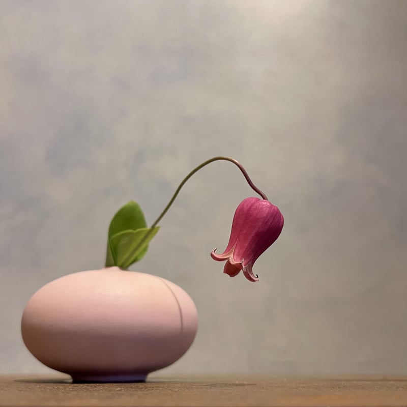 KLATT OBJECTS｜CHISANA vases Edition | 花福 オンラインショップ