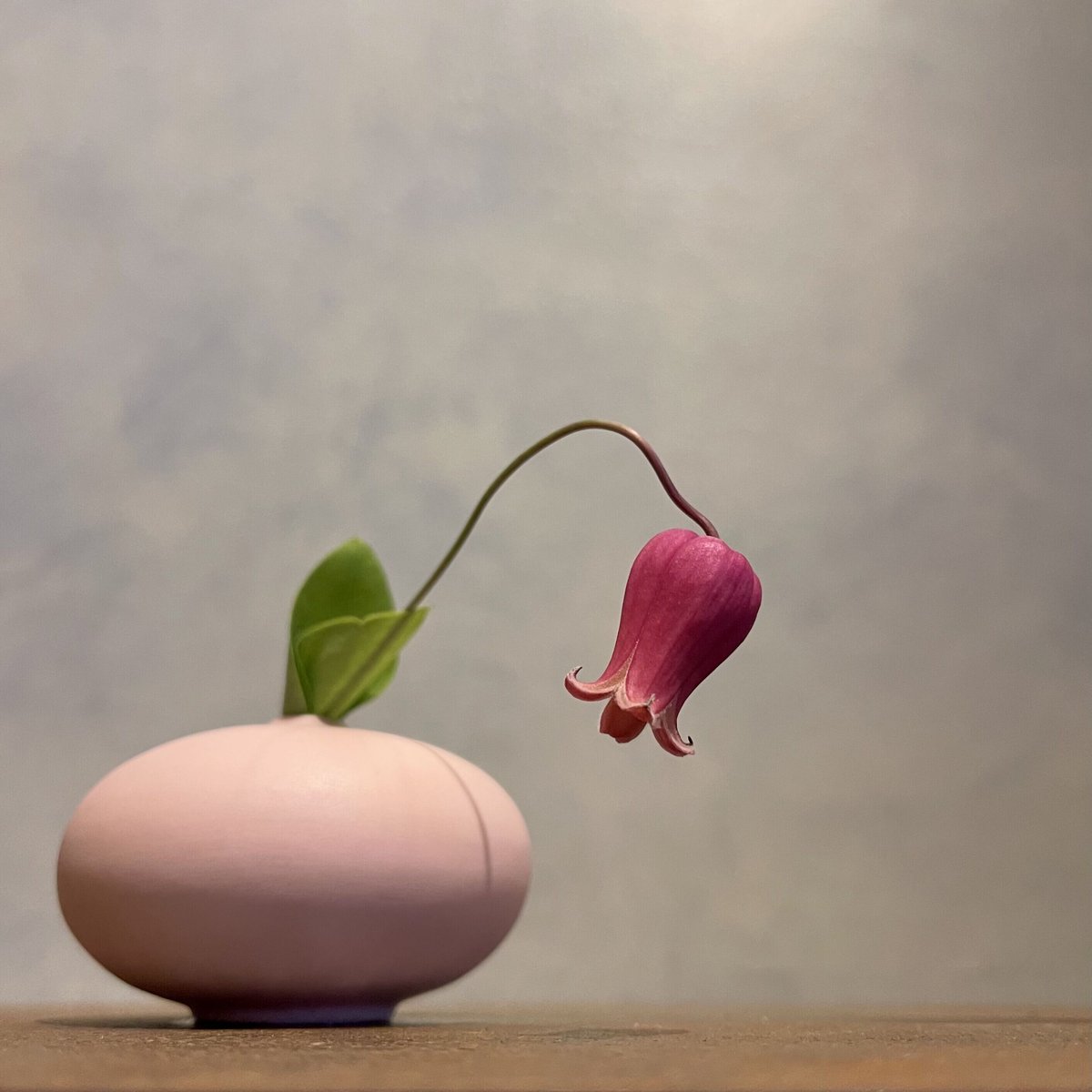 KLATT OBJECTS｜CHISANA vases Edition | 花福 オンラインショップ