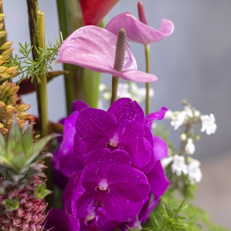 御祝花・楽屋花アレンジメント2L