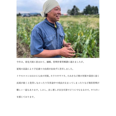 北海道とうきびパイ
