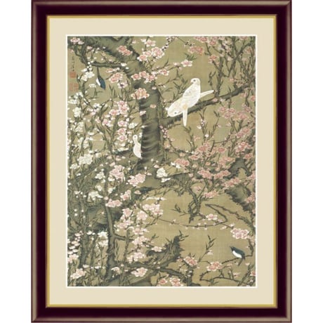 伊藤若沖、葡萄図、超希少・大判画集画、新品高級額装付 伊藤若冲の