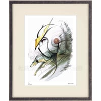 タツノコプロ監修 「新造人間キャシャーン 」 ジークレー版画 額入り 複製画 横顔 昭和のテレビアニメ 1973年TV放映 【四つ切】【C8019】