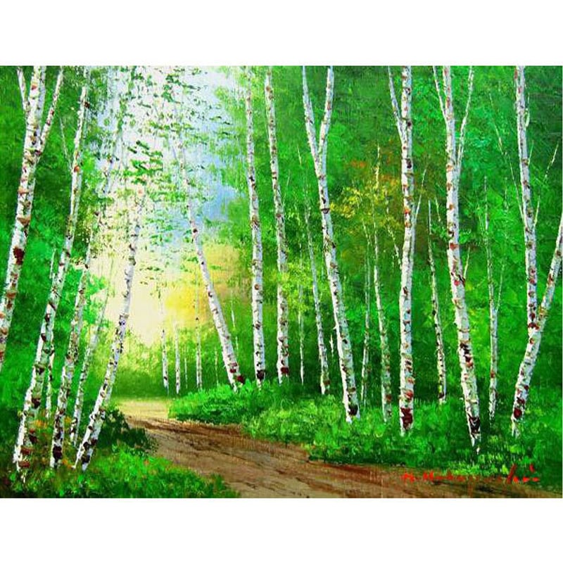 小林幸三作 白樺林 油絵 荒 6号 
