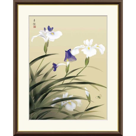 ● 小林古径 「燕子花」 額入り 複製画 高精彩工芸画 額装画 日本画 名画 レプリカ 静物画 花鳥図 春 かきつばた 東京富士美術館（東京）所蔵 J2-050 【納期：約1週間】
