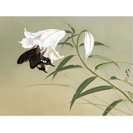 ● 川端龍子 「百合」 額入り 複製画 高精彩工芸画 額装画 日本画 名画 レプリカ 植物 花鳥図 ゆりアゲハ蝶 春 J2-058
