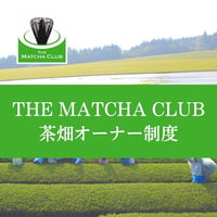 THE MATCHA CLUB 茶畑オーナー制度【年会費一括払い】