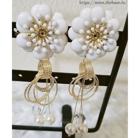 SEMSアクセサリー