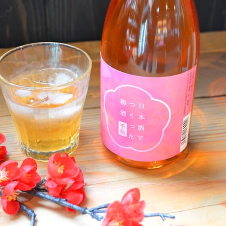 ★全国梅酒品評会受賞★日本酒でつくった梅酒　720ml