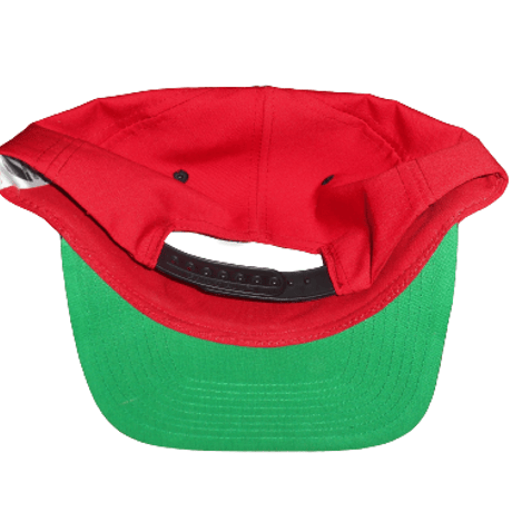 Snapback San Francisco 49ers