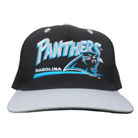 Snapback Carolina Panthers
