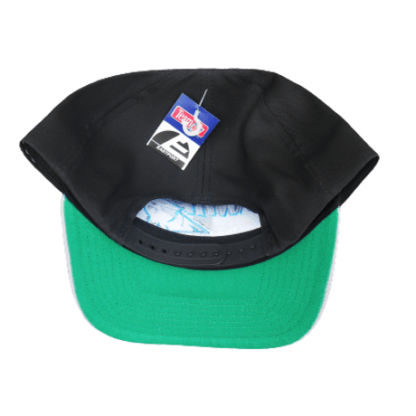 Snapback Carolina Panthers