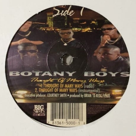 Botany Boys / Thought Of Many Ways (12")