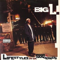 Big L ‎/ Lifestylez Ov Da Poor & Dangerous (LP)