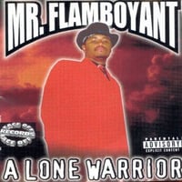 Mr.Flamboyant