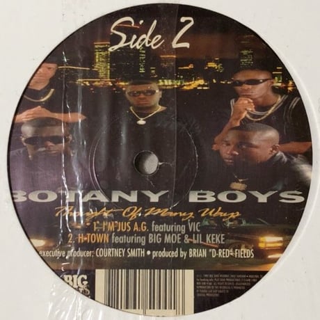 Botany Boys / Thought Of Many Ways (12")