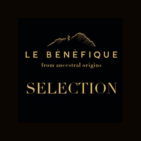 セレクション [Selection]＋ダブルウォールグラスセット