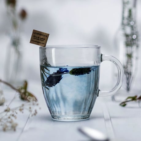 セレブレーション [Celebration]