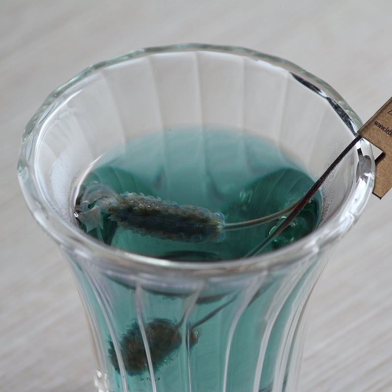 ハーブティー用ダブルウォールグラス | LE BÉNÉFIQUE Japan