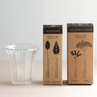 ハーブティー 全12種＋ダブルウォールグラスセット