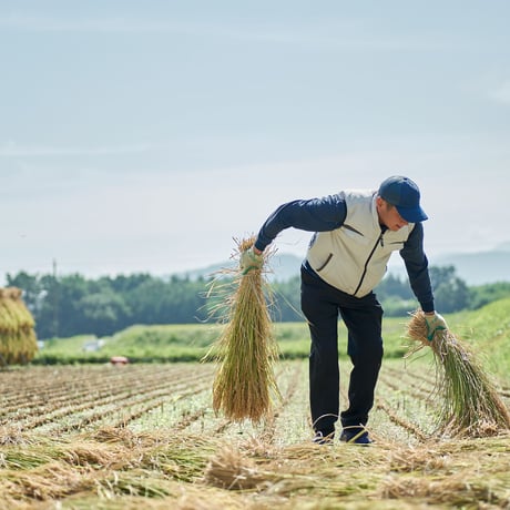 令和7年度産 いつでも美味しいもっちり米（白州産コシヒカリ）天日干し米　3キロ