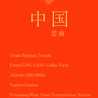 中国