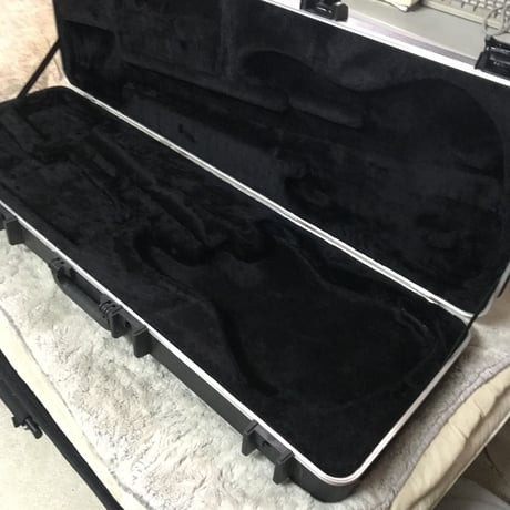 Fender Bass case