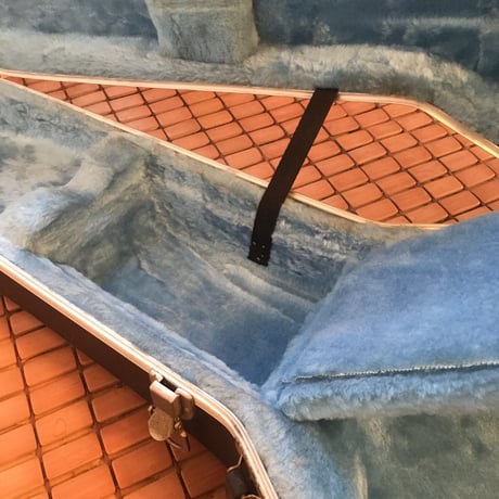 Ovaiton Guiter case