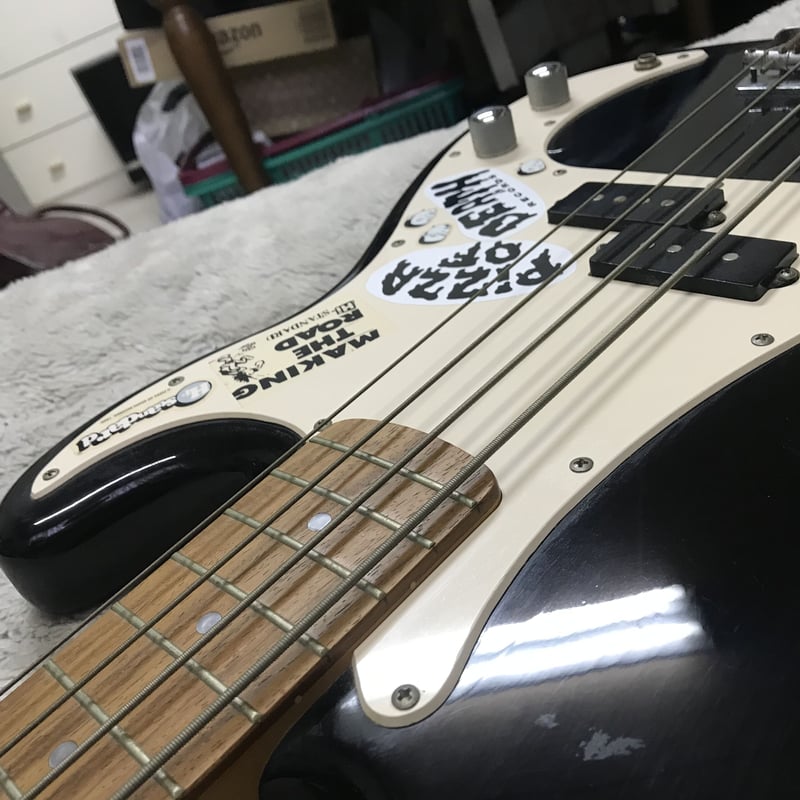 Squire by Fender Precision Bass | RUSTY STRINGS