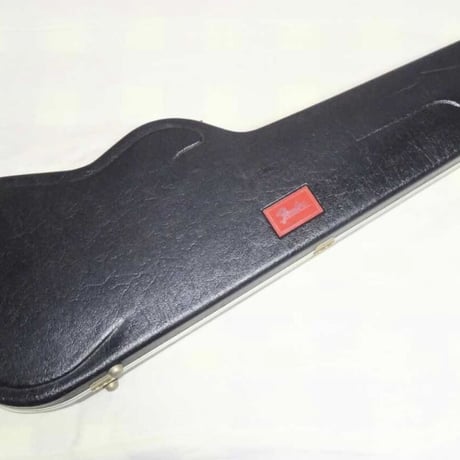 Fender Guiter case