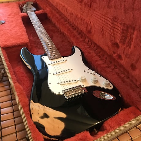 Fender Guiter caes