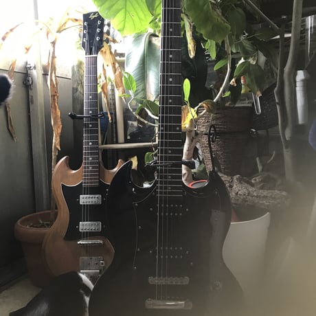 Epiphone SG